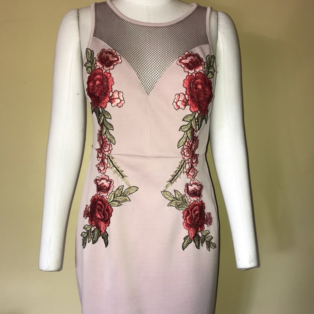 Charlotte Russe Sexy Sleeveless Pink Fish Net Zip Back Embroidered Rose Dress